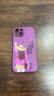 虎克船長(cháng) 適用iPhone15手機殼玻璃蘋(píng)果15promax保護套鏡頭全包男生超薄防摔硅膠百家姓女款 蘋(píng)果15【玫紫色-碎銀幾兩】備注姓氏 曬單實(shí)拍圖