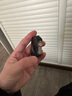 Pinkson 蘋果iwatch手表殼保護套真碳纖維S9保護套Ultra超薄全包輕磨砂硬殼凱夫拉商務(wù)防摔男49mm輕薄邊框 【600D芳綸】 【49mm表盤】Watch Ultra 2用 曬單實拍圖