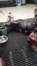 御壺茗香 宜興紫砂純手工茶寵大號茶擺宜興雕塑茶玩室內(nèi)擺件水牛茶具擺件 曬單實(shí)拍圖
