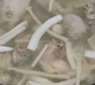 海藍鍋鍋團海南椰子雞火鍋套餐 農家散養(yǎng)140天土雞生鮮雞肉 6人家庭餐【雞肉4斤+椰子水3升】 曬單實拍圖