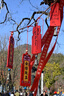 適馬（SIGMA） 56mm F1.4 半畫(huà)幅大光圈定焦鏡頭 尼康Z口 【官方標配】主圖配件+多重好禮 曬單實(shí)拍圖