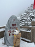 PawinPaw【新年系列】三防童裝兒童蓄熱中長(zhǎng)款羽絨服鵝絨拜年服 棕色/85 120 cm 曬單實(shí)拍圖