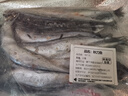 品鮮奕號秋刀魚 深海魚燒烤食材新鮮秋刀魚超大規(guī)格冷凍海鮮水產(chǎn)生鮮 年貨 秋刀魚5斤裝 500g 曬單實(shí)拍圖