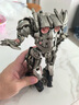 百微霸天虎變型玩具金剛2正版坦克威震天手辦模型10-12歲男孩生日禮物 精涂版坦克威19cm 曬單實(shí)拍圖