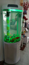 閩江（minjiang）半圓形魚缸水族箱圓柱型金魚缸客廳生態(tài)造景免換水錦鯉烏龜缸 純白色+禮包+升級過濾 BY560加高款（魚缸+儲物柜子） 曬單實拍圖
