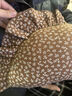 睡眠北鼻ins風兒童餃子枕純棉嬰兒防撞床頭靠墊寶寶半圓抱枕四季通用靠枕 錦繡年華-50*25cm 無規(guī)格 曬單實拍圖