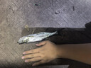 光威（GW） 光威魚(yú)竿龍云三代五代超硬臺釣竿 碳素魚(yú)竿超硬魚(yú)桿28調鯉魚(yú)黑坑 7.2m 龍云三代 曬單實(shí)拍圖
