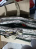 釣哈哈（Diaohaha） 漁具包大容量魚(yú)竿包加厚大肚包多功能防水單雙肩臺釣魚(yú)桿包 80cm三層大肚包（復合加厚） 曬單實(shí)拍圖