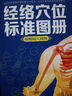 經(jīng)絡(luò )穴位標準圖冊 曬單實(shí)拍圖