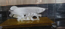 莫尼森  MOREISAN 足銀金龍魚擺件家居辦公室別墅工藝品擺件喬遷禮物開(kāi)業(yè)商務(wù)禮品 中尺寸金龍魚47*18*25cm 曬單實(shí)拍圖