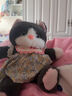 可愛(ài)小貓咪公仔玩偶兒童睡覺(jué)抱枕女生生日禮物送女友布娃娃抱枕 灰色貓咪【含圍巾和裙子】 65cm 曬單實(shí)拍圖