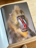 瀕危 我們和它們的未來 蒂姆弗拉克珍惜野生動物公益保護人與自然生態(tài)環(huán)境攝影集書籍  后浪正版 曬單實拍圖