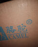 駱駝（CAMEL）壁扇掛壁式電風(fēng)扇家用餐廳掛墻壁風(fēng)扇掛壁搖頭掛扇金屬鋁葉片 16英寸機械-塑葉 原機 曬單實(shí)拍圖