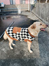 大狗狗寵物衣服冬季保暖中大型犬金毛邊牧拉布拉多杜賓可牽引毛衣 黑色棋盤(pán)格【舒適羊羔絨】 5XL【建議體重50-60斤】 曬單實(shí)拍圖