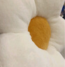 BATTILO太陽(yáng)花抱枕北歐沙發(fā)靠枕客廳床頭花朵靠墊飄窗車用毛絨花瓣枕靠背 白色 50x50cm（可做靠墊或者坐墊） 曬單實(shí)拍圖