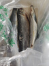 灣鈺蜜東北沙丁魚(yú)遼寧山東野生青魚(yú)海魚(yú)懶人之寶新鮮燒烤食材 凈重5斤共9-10條魚(yú)滿(mǎn)籽滿(mǎn)油） 曬單實(shí)拍圖
