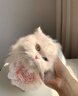 華元寵具貓玩具自嗨解悶逗貓棒不倒翁轉(zhuǎn)盤漏食小貓咪幼貓?bào)w力消耗寵物用品 曬單實(shí)拍圖