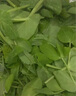現(xiàn)摘新鮮豌豆尖新鮮蔬菜貴州特產(chǎn)當(dāng)季豌豆農(nóng)家自種火鍋菜時令 泡沫箱加冰發(fā)貨 2斤凈重 曬單實拍圖