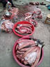 APRHD魚(yú)網(wǎng)沉網(wǎng)三層漁網(wǎng)單層浮網(wǎng)絲網(wǎng)捕魚(yú)網(wǎng)捕魚(yú)三合一掛網(wǎng)加粗1指小眼 三層2米高5指100米(加重沉網(wǎng)) 曬單實(shí)拍圖