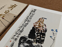 陳子莊 二十世紀中國畫(huà)經(jīng)典花鳥(niǎo)畫(huà)作品集 8開(kāi)本 董宏偉 曬單實(shí)拍圖