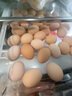九云仙正宗皖南山林土雞蛋新鮮現撿農家散養無(wú)抗草雞蛋柴雞蛋綠殼烏雞蛋 50枚竹林散養綠殼烏雞蛋【推薦】 曬單實(shí)拍圖