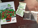 六倍利種孑七彩盆栽四季開花易種活花種子籽室內(nèi)花卉植物 （小番茄200粒+肥） 曬單實(shí)拍圖