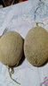正宗吐魯番哈密瓜新鮮新疆水果一箱整箱10斤當(dāng)季甜瓜西州蜜香瓜W 5斤 曬單實拍圖