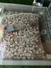 AC 3D益菌屋魚缸濾材水族箱陶瓷環(huán)硝化細(xì)菌屋納米凈水魔方 【新版】六邊形3D益菌屋10L 含網(wǎng)袋 曬單實(shí)拍圖