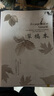 現(xiàn)貨2025春學(xué)習(xí)探究診斷 七年級(jí)數(shù)學(xué)下冊(cè)七下 第15版 北京西城學(xué)探診初中同步練習(xí)初一7年級(jí)七數(shù)下 曬單實(shí)拍圖