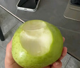 正宗雀斑王林蘋(píng)果9斤明月青森翠綠青蘋(píng)果新鮮脆甜水果丑蘋(píng)果整箱H 3斤大果【80-85mm】【7個(gè)以?xún)取?曬單實(shí)拍圖