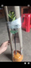 黃忠文新品種印尼紅肉菠蘿蜜樹苗有榴蓮紅肉木菠蘿嫁接苗干包脆甜帶土葉 印尼紅菠蘿蜜2年苗徑0.8 ~65cm高 曬單實拍圖