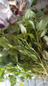新鮮荊芥現摘荊芥菜新鮮帶根河南農家自種荊芥新鮮蔬菜精品 3斤裝 曬單實(shí)拍圖
