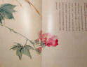 同步視頻 國畫初學者入門 寫意工筆花鳥山水 3本套裝國畫教程書 工筆畫國畫書 臨摹畫冊中國水墨畫入門 國畫入門綜合篇 曬單實拍圖