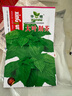 蔬菜種孑四季盆栽陽(yáng)臺(tái)種子庭院香菜生菜菠菜小蔥簡(jiǎn)單菜種菜籽大全 美味荊芥約2000粒 曬單實(shí)拍圖
