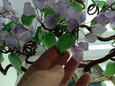 克拉蘇紫水晶發(fā)財(cái)樹(shù)玉石搖錢樹(shù)家居花瓶擺件客廳玄關(guān)酒柜店鋪開(kāi)業(yè)喬遷禮 紫水晶高46寬46cm 曬單實(shí)拍圖