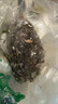 MOKUSAN吸塵器家用有線輕量手持大吸力多功能除螨吸拖一體大功率強(qiáng)勁低噪吸塵機(jī) 吸拖一體標(biāo)配+2濾芯+1拖布【中配】 曬單實(shí)拍圖