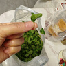 半畝莊園薄荷葉新鮮 留蘭香調(diào)酒茶飲泡水裝飾可食用薄荷葉香料蔬菜 500g 曬單實(shí)拍圖