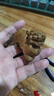 仙知古作小葉金絲楠漢代貔貅手把件車掛吊墜飾品男士隨身小擺件木雕紅木工 曬單實拍圖
