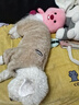 智宙泰迪衣服狗狗衣服寵物小型犬狗狗衣服秋冬季保暖比熊博美幼犬加厚 淺棕色XL碼（建議8.5-12斤） 升級優(yōu)質(zhì)珊瑚絨-【加絨加厚】 曬單實拍圖