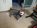 超可耐狗衣服冬季四腳棉衣加厚保暖防風(fēng)耐寒狗狗衣服柴犬2025多功能棉衣 灰色 3XL碼（胸圍58背長(cháng)47cm） 曬單實(shí)拍圖