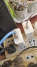 馳界適用一加充電器65W/100W超級(jí)閃充type-c數(shù)據(jù)線(xiàn)11/10Pro/ACE快充頭8T/9r原1+套裝充電線(xiàn)頭 【65W套裝】快充頭+1米快充線(xiàn) 曬單實(shí)拍圖
