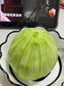 南步東北綠寶甜瓜 正宗綠寶石香瓜綠皮綠肉脆瓜頭茬蜜瓜新鮮水果整箱 3斤 精選大果【約4-6個(gè)】 曬單實(shí)拍圖