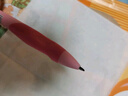 貓?zhí)?正姿中性筆小學(xué)生矯正握資帶握筆器糾正筆0.5mm速干黑色水筆軟膠筆握考試刷題筆練字筆開學(xué)文具 無環(huán) 粉 曬單實(shí)拍圖