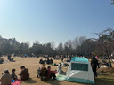 威爾貝魯（WELLBER）兒童外套2024新款秋冬季寶寶2024新款加厚男女童洋氣上衣童裝衣服 米駝【針織開衫】 120cm 曬單實拍圖