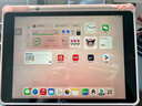萊跡適用于鏡面小碎花蘋果iPad Pro2024保護(hù)殼11寸平板套三折air4/5筆槽10代 ipad2022 十代(10.9寸) 雙面圖三折亞克力-鏡面小碎花 曬單實(shí)拍圖