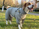 MOEPIE狗狗衣服冬季雪納瑞柴犬邊牧秋冬保暖棉衣四腳全包可牽引棉服 豆綠色 XL（推薦30-37斤） 曬單實拍圖