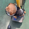 Lanswood 狗狗鞋子夏季狗狗雨鞋防水狗鞋小型犬耐磨靴子防臟遛狗神器 藍色  薄款 5號/L【建議體重10-13斤】 曬單實拍圖