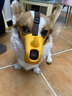 冇寵狗狗嘴套柯基柴犬嘴罩中小型犬止吠器防咬防叫神器可喝水寵物口罩 黃色（本嘴套不適用于短嘴犬） L號（建議25-40斤左右） 曬單實拍圖