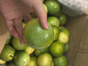 佳沛（zespri）陽(yáng)光金奇異果黃心獼猴桃新西蘭進(jìn)口巨無(wú)霸當季新鮮水果禮盒 26枚【原箱直發(fā)】饋贈首選 大果（單果115-126g） 曬單實(shí)拍圖