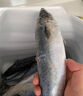 青島大鲅魚 6-15斤新鮮海捕馬鮫魚深海鲅魚 海鮮水產(chǎn) 生鮮 6斤以上/整條 曬單實(shí)拍圖